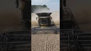 Thumbnail: monster New Holland combine harvesting wheat