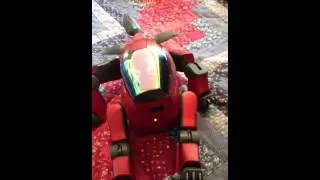 Thumbnail: Red Aibo ERS-210A TAS?