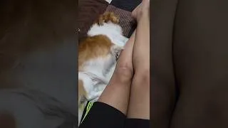 Thumbnail: My body Guard