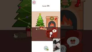 Thumbnail: Apollo & Nala