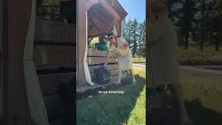 Thumbnail: European Summer Dreams vs. Manual Pool Cleaning 🙅‍♀️