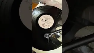 Thumbnail: Van Halen Intruder #vanhalen #vh #evhgear  #rockicons