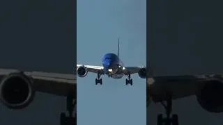Thumbnail: INCREDIBLE! United 787-10 "Stars & Stripes" Dreamliner Landing at Lisbon Airport #landing #aviation