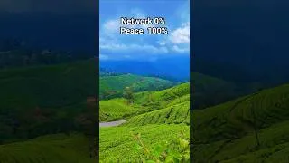 Thumbnail: Munnar 😍 #shorts #viral #trendingshorts #shortsfeed #munnar