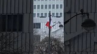 Thumbnail: French Flag [Paris - Feb 2025][62]