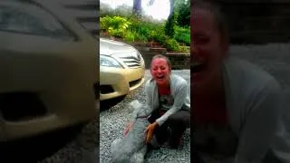 Thumbnail: Animals Reunited With Owners After YEARS !