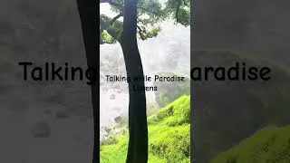 Thumbnail: Talking while paradise listens #nature #travel #shorts