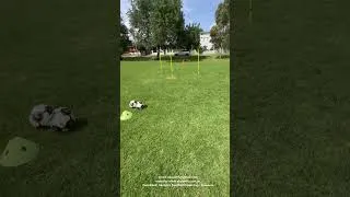 Thumbnail: AKOACHT - Football Coaching Illawarra #football #skillimprovement #soccer #skilldevelopment