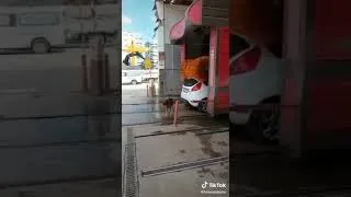 Thumbnail: Street dog who cleans himself every morning  🐕‍🦺