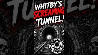 Thumbnail: Whitby's Screaming Tunnel  - Dracula's Tunnel!