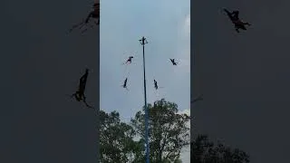 Thumbnail: voladores de Papantla # #2026 #antropology ##cdmx #mexico