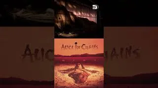 Thumbnail: @albumdigs just released a bunch of new videos in the #aliceinchains house. Subscribe for more.
