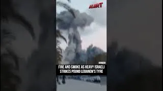 Thumbnail: ON Cam: Eyewitness video captures moment of Israeli strike in Lebanon's Tyre | #alertnews
