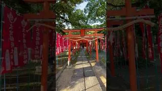 Thumbnail: 📍Hyozu Shrine 兵主神社 | Kishiwada, Osaka, Japan 🇯🇵