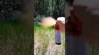 Thumbnail: Does expired bear spray still work? #backpacking #bearspray #backpackinggear