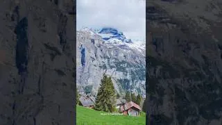 Thumbnail: Beautiful Switzerland 🇨🇭☀️ Follow for Swiss  shorts #travel #nature #shorts #switzerland 🇨🇭