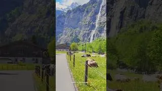 Thumbnail: Beautiful Switzerland 🇨🇭🏔️Follow for Swiss  shorts #travel #nature #shorts #switzerland 🚣‍♀️