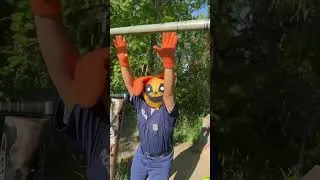 Thumbnail: SMILING CRITTERS UNDER ARREST?