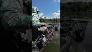 Thumbnail: Bass are OBSESSED with this Lure