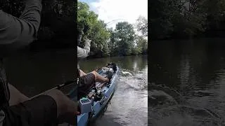 Thumbnail: The MOTHERLODE of River Bass (and Pokémon?)