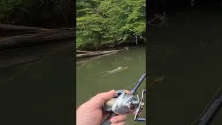 Thumbnail: She Missed…Then DEMOLISHED It