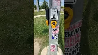 Thumbnail: Crossing the street to go to my bus going home. #crosswalk #buttons #shorts #fyp