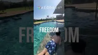 Thumbnail: Family Financial Freedom with Algobox