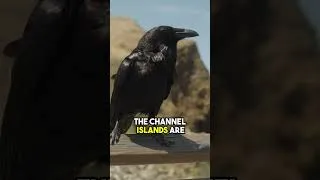 Thumbnail: America’s secret Island Park! ￼