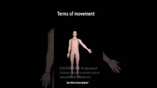 Thumbnail: Anatomical Terms #anatomy #science #medicalanimation #biology