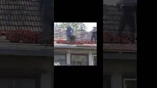 Thumbnail: Roof extension on 100 years old abandoned house! #abandonedhouse #roofing