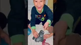 Thumbnail: Playing squishy toy #squishy toy