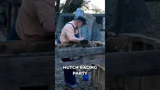 Thumbnail: Future Plans: Chicken Hutch Racing Party?!