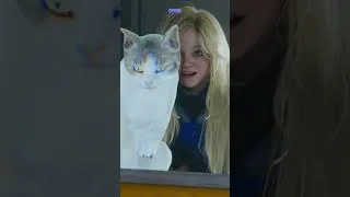 Thumbnail: Diana Spots a Kitty Cat!