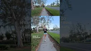 Thumbnail: REBUILDING