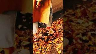 Thumbnail: Autumn Vibes Are Here Again 🍂 #Shorts