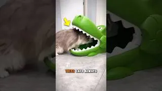 Thumbnail: She Removed THIS From the Turtle… 😳🐢