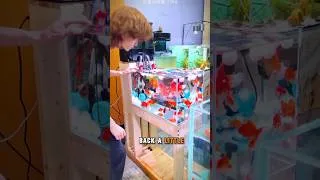Thumbnail: He Accidentally Cleaned His Fish Tank! 😱🐟