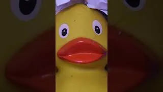 Thumbnail: prison break: toy edition