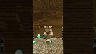 Thumbnail: I am rich 🤑🤑 in Minecraft veer SMP