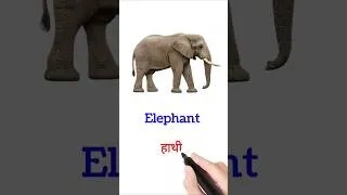 Thumbnail: Animals name in english and hindi with pictures | जानवरों के नाम | animals name for kids learning ||