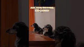 Thumbnail: Auction/Bidding Games Explained…By Dogs