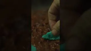 Thumbnail: 🌶️ CAROLINA REAPER CHILI – Can You Handle This Heat? 🔥🔥🔥