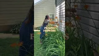 Thumbnail: simple joys I've been loving this summer