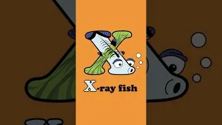 Thumbnail: Animals that start with X - X-ray fish, Xenops, Xenopus, Xerus #Shorts