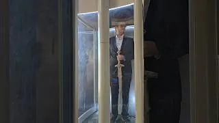 Thumbnail: ELEVATOR RUDY