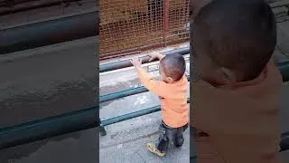 Thumbnail: Satisfay #viral #viralvideo #trending #trendingshorts #ytshorts