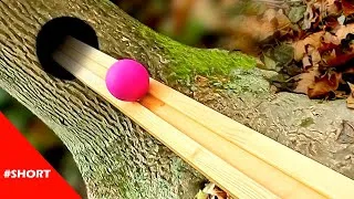 Thumbnail: Magic Marble Run Trick ASMR in the enchanted forest #shorts