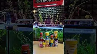 Thumbnail: Never Throw This Packet Away! #fishtank #exoticaquariumfish #aquarium #amaquarist