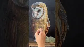 Thumbnail: What 2 Months of Painting Looks Like 🎨
