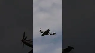 Thumbnail: P-51 Mustang Warbird Whistle #p51mustang #p51 #warbird #warbirds #aviationlovers